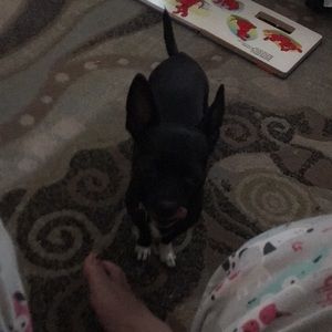 Meet your Posher, Barbara